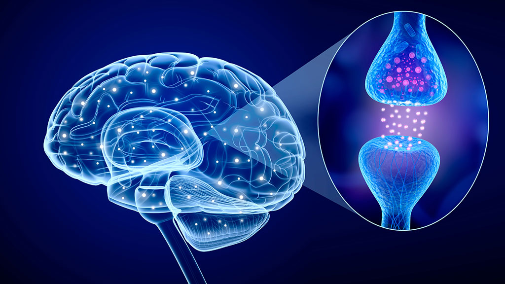 Effetto dell'olio EVO sulla demenza senile